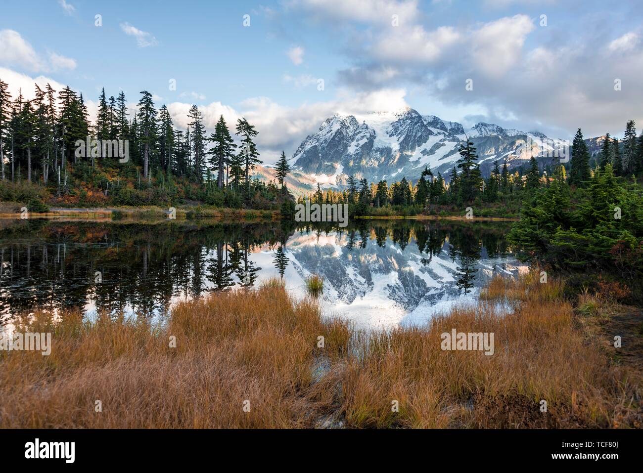 Mt. Shuksan Gletscher mit Schnee mit Reflexion in Bild See, bewaldeten Berglandschaft, Mt. Baker-Snoqualmie National Forest, Washington, USA, noch Stockfoto