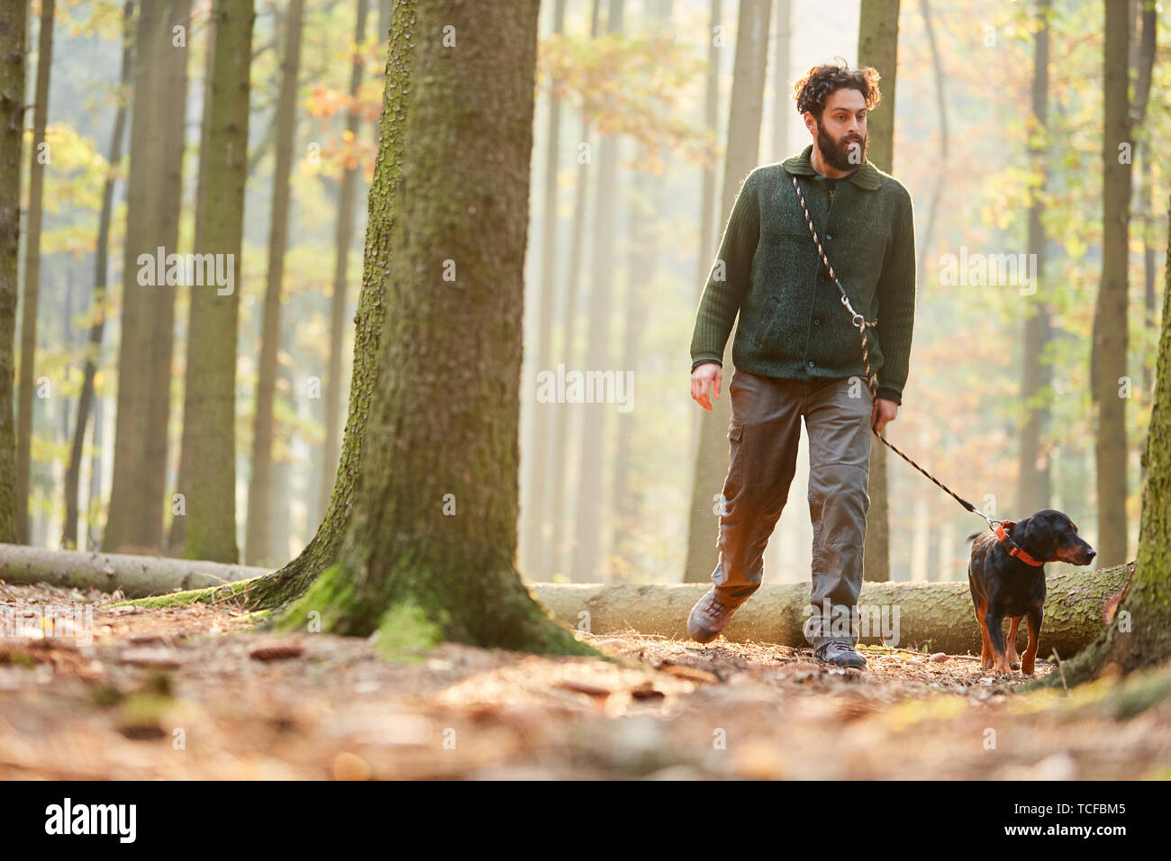 Jäger oder Förster gehen für einen Spaziergang im Wald mit einem Hund als Jagdhund Stockfoto