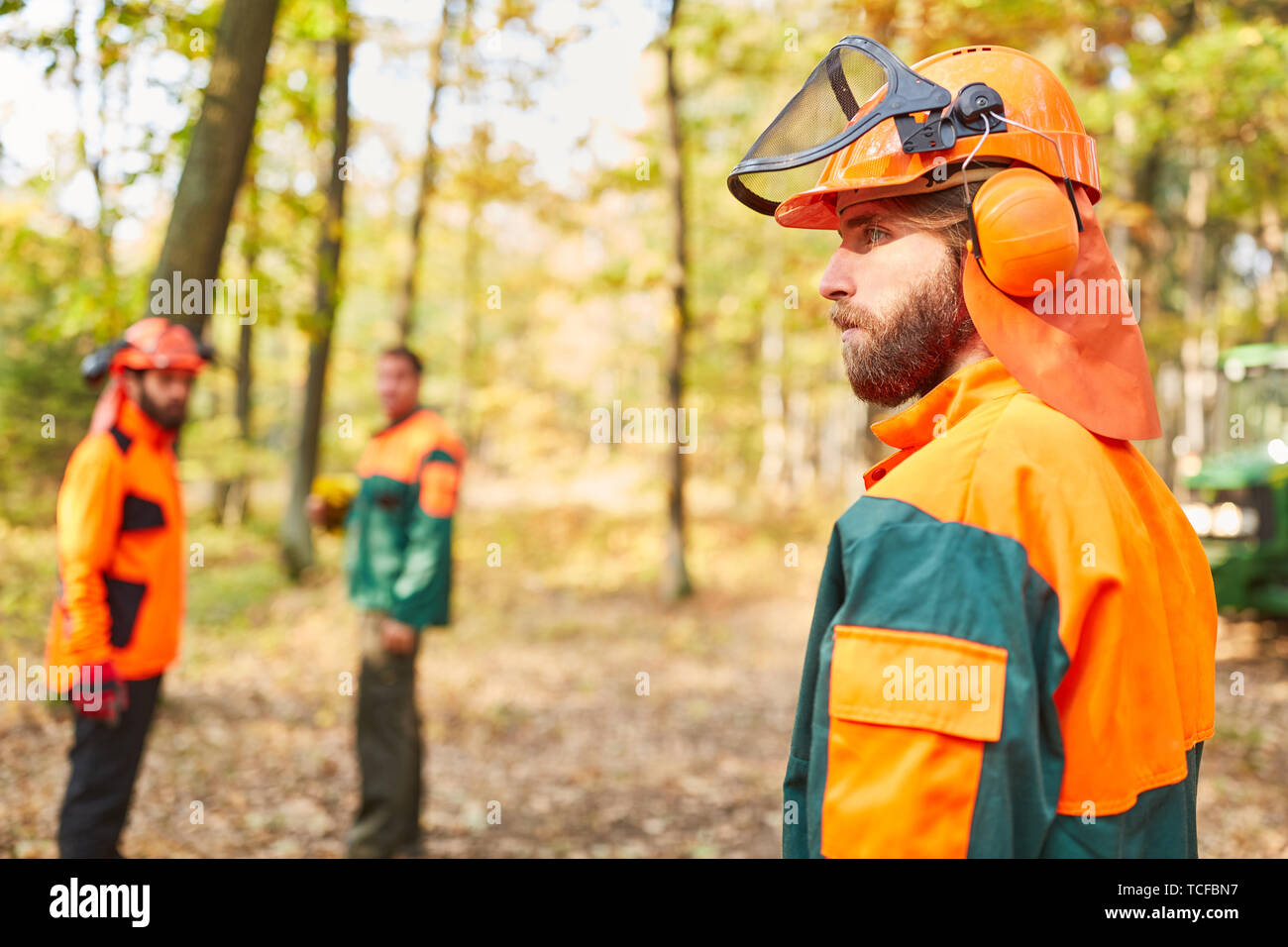 Drei Holzfäller oder Waldarbeiter im Wald durch das Tragen von schützender Kleidung während der Ernte Stockfoto