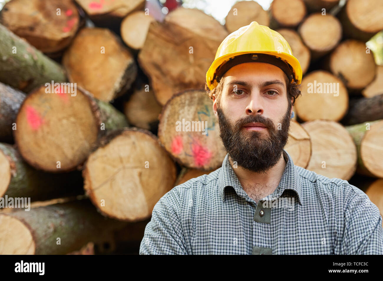Der Mensch als Holzfäller oder Wald Arbeiter mit Helm vor langen Holz Cargo  Stockfotografie - Alamy
