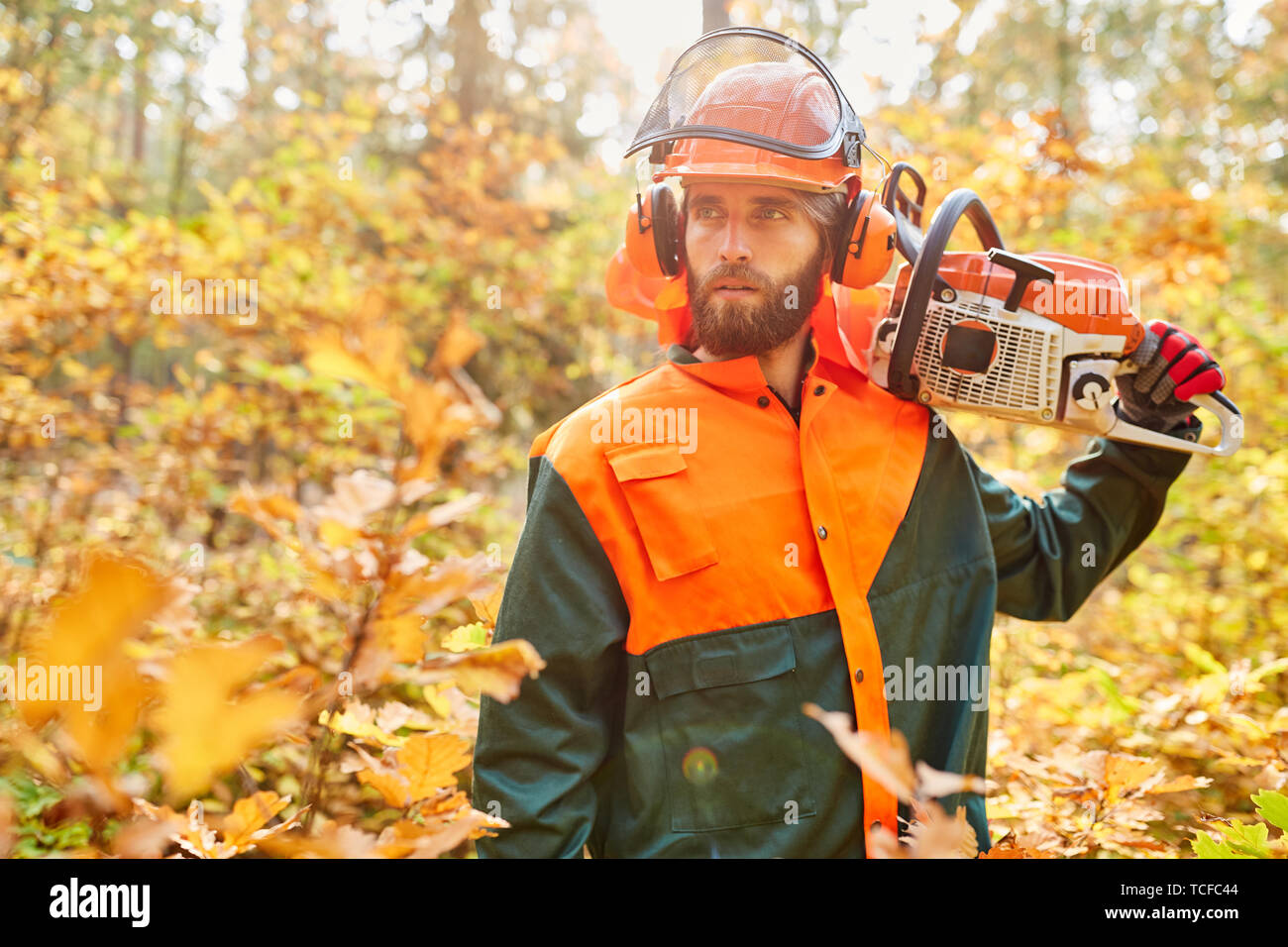 Waldarbeiter als Holzfäller in Schutzkleidung mit Motorsäge im Wald Stockfoto