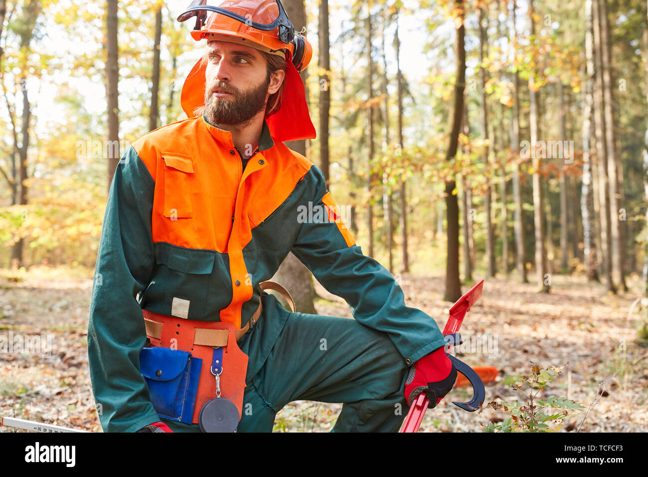 Der Mensch als Waldarbeiter und Holzfäller in Schutzkleidung bei der Arbeit  Stockfotografie - Alamy