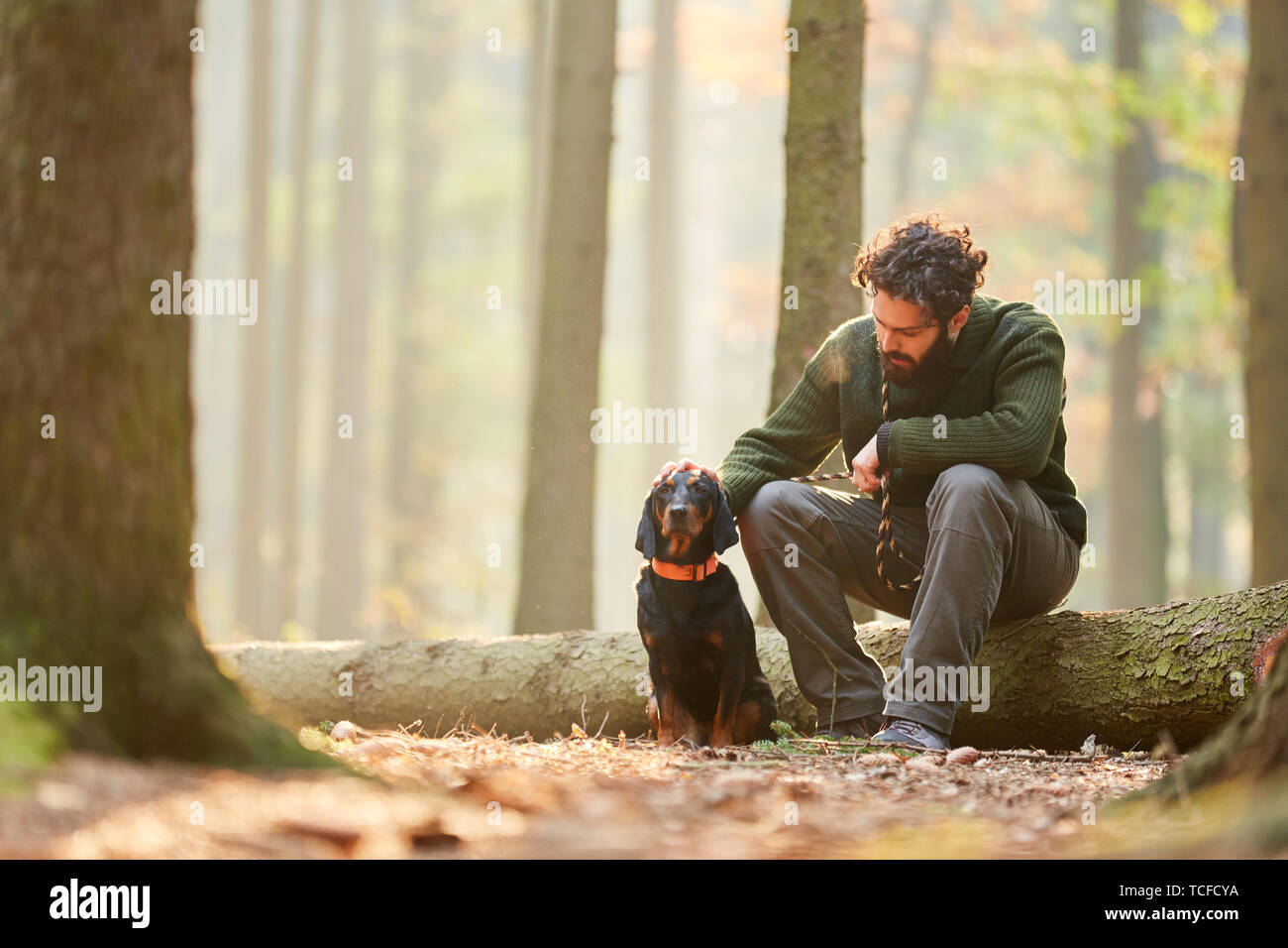 Hund als Jagdhund zusammen mit einem Jäger oder Förster eine Pause im Wald Stockfoto
