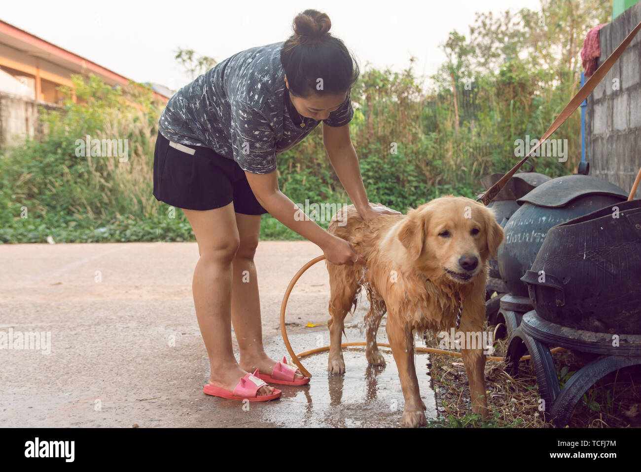 Frau baden entspannen Hund golden retriever Outdoor. Stockfoto