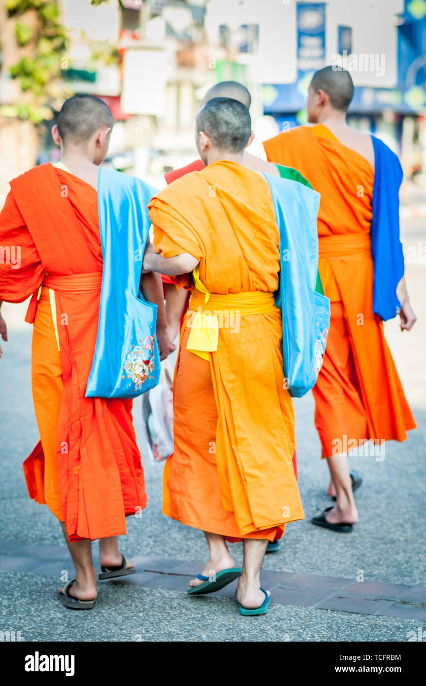 Thailändische Mönch machen sich auf den Weg über die Straße zu einem örtlichen Tempel oder Wat in Chiang Mai Thailand. Stockfoto