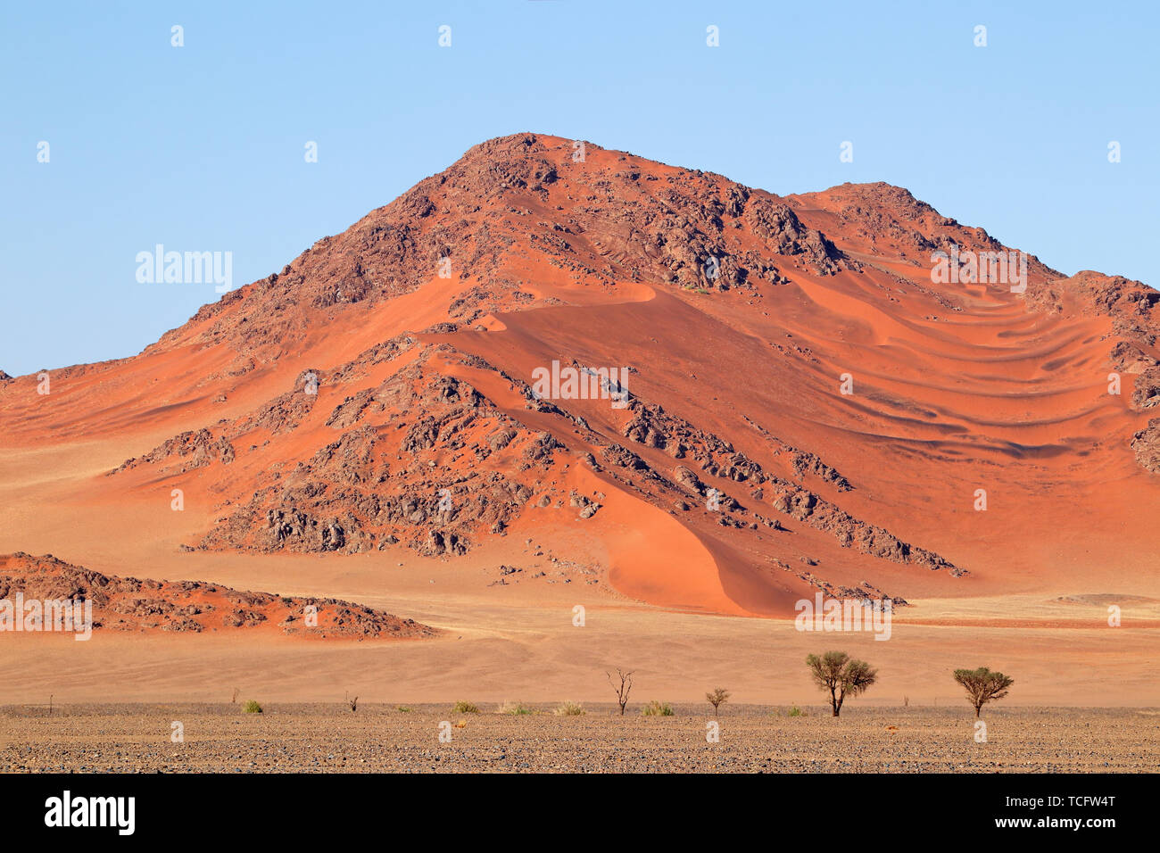 Robuste Dünenlandschaft Sossusvlei, Namib, Namibia Stockfoto