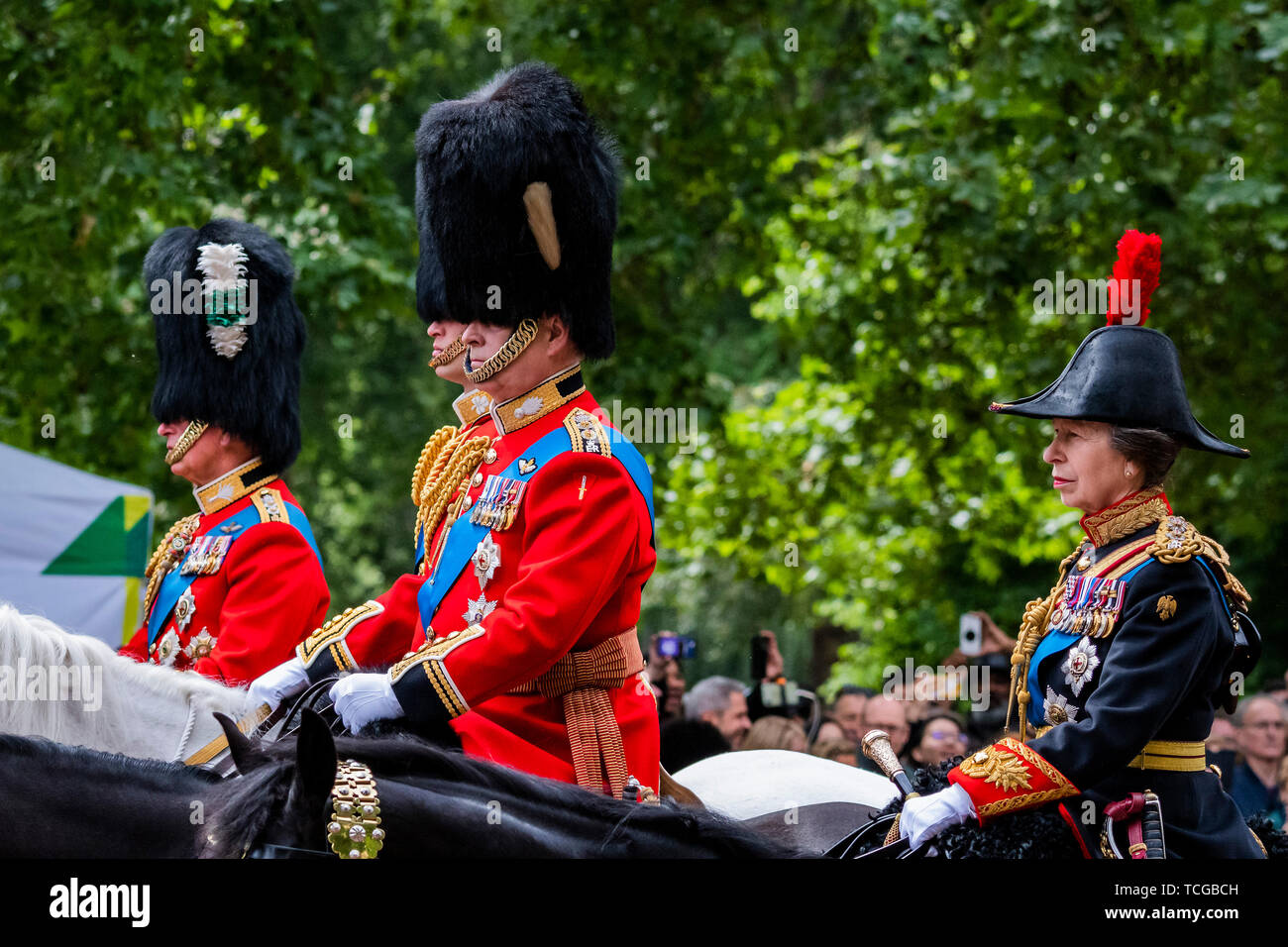 London, Großbritannien. 08 Juni, 2019. Prinzen Charles, William, Andrew und Prinzessin Anne - Geburtstag der Königin Parade, populärer als die Farbe bekannt. In diesem Jahr das Regiment "TROOPING" seine Farbe (zeremonielle Regimental flag) war das erste Bataillon Grenadier Guards. Credit: Guy Bell/Alamy leben Nachrichten Stockfoto