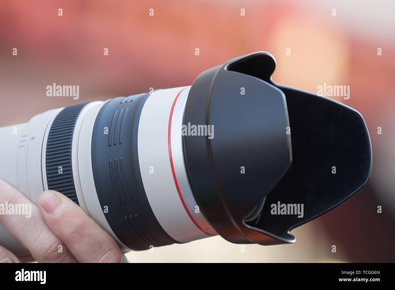 Kamera mit pro-grade Teleobjektiv in die Hände des Fotografen Stockfoto