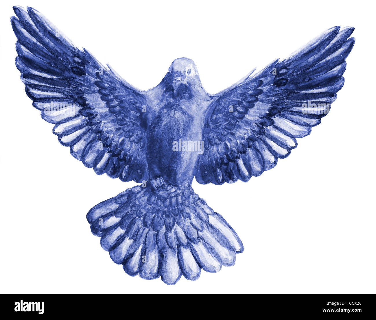 Aquarell und Digitale Aquarelle Abbildung: unicolor Vogel, Taube in marine blau Farbe, das Symbol des Heiligen Geistes, auf weißem Hintergrund. Stockfoto