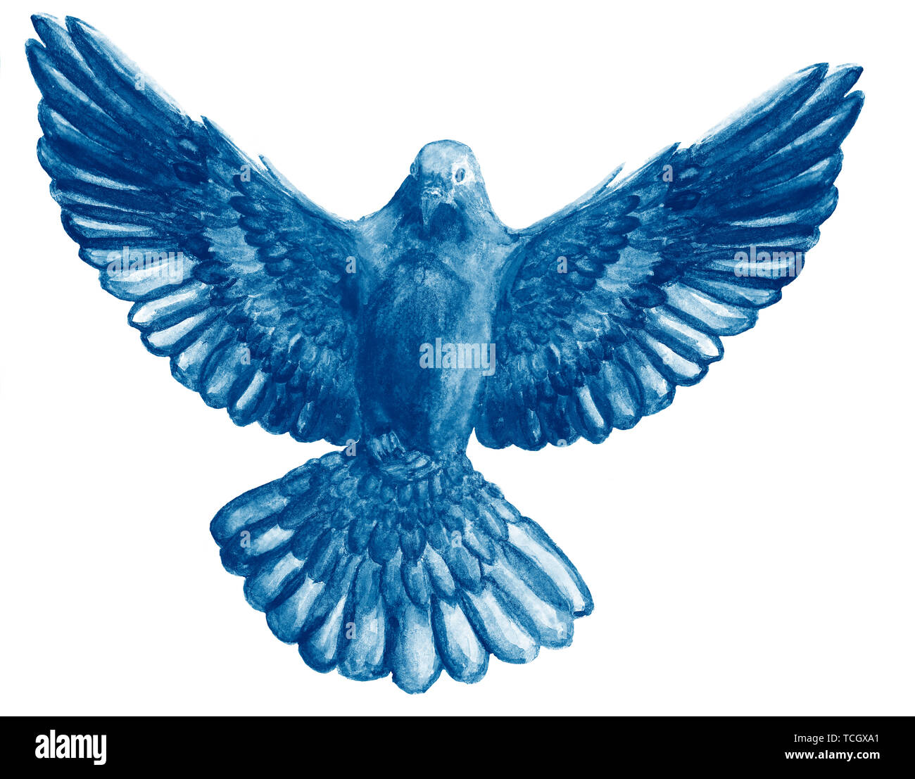 Aquarell und Digitale Aquarelle Abbildung: unicolor Vogel, Taube in marine blau Farbe, das Symbol des Heiligen Geistes, auf weißem Hintergrund. Stockfoto