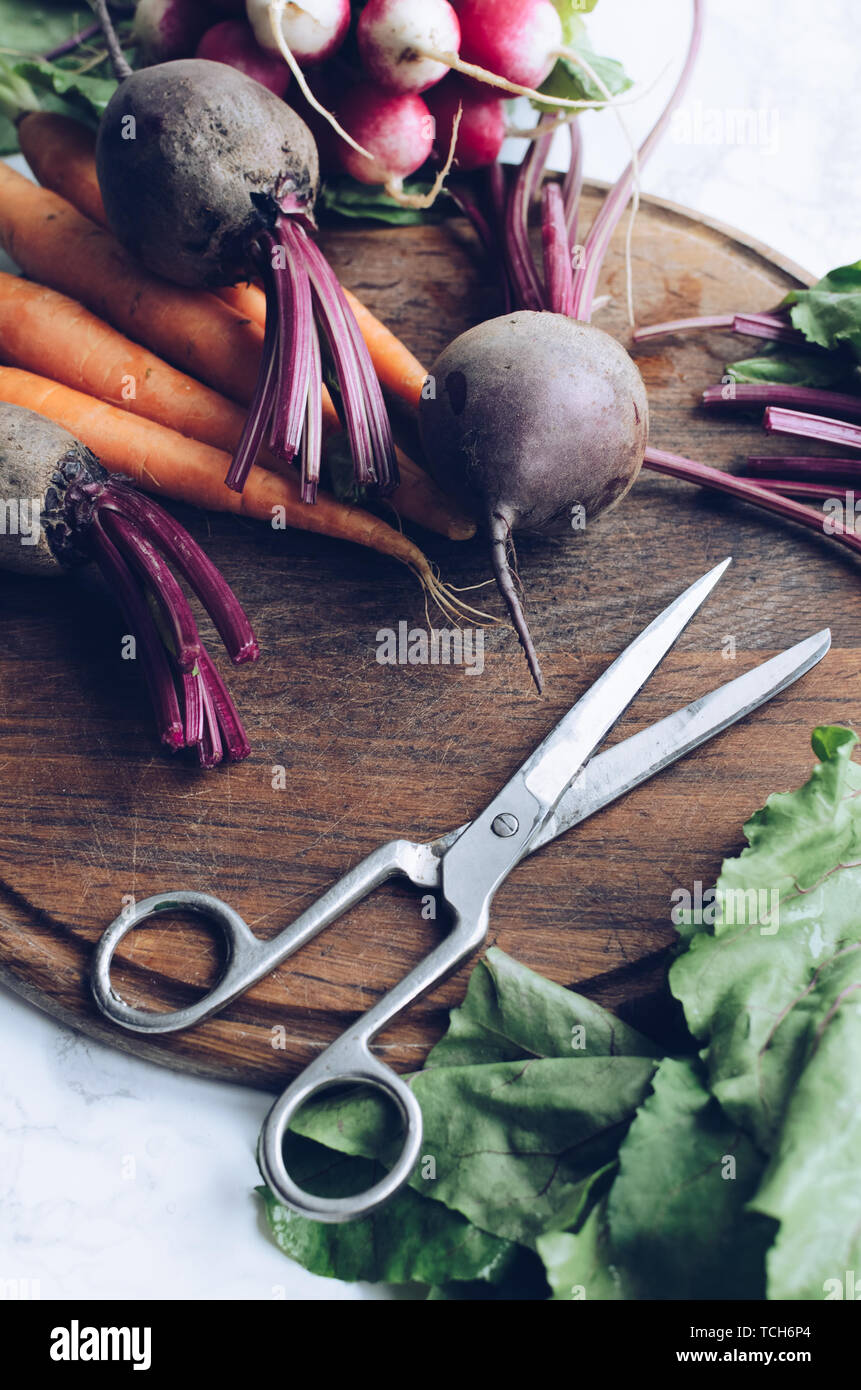 Prozess der Vorbereitung verschiedene Rohstoffe Bio Gemüse zum Kochen: Karotten, rote Rüben und Radieschen. Gesunde, saubere Essen. Verschiedene bunte Gemüse auf Stockfoto