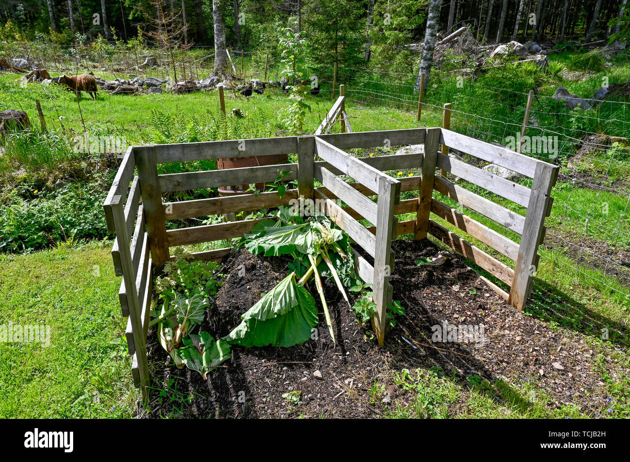 Gartenkompost in einem grünen Garten Stockfoto