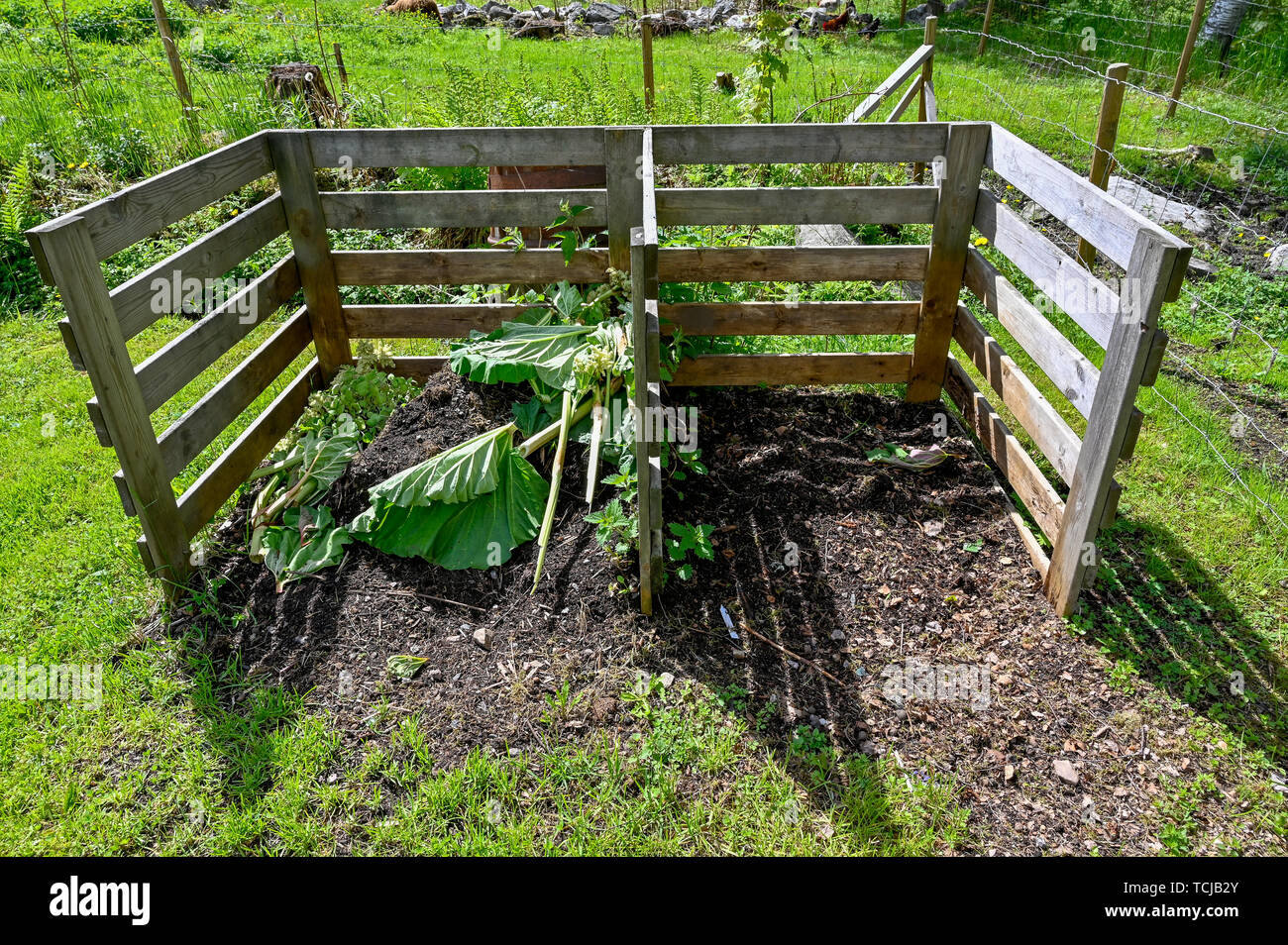 Gartenkompost in einem grünen Garten Stockfoto