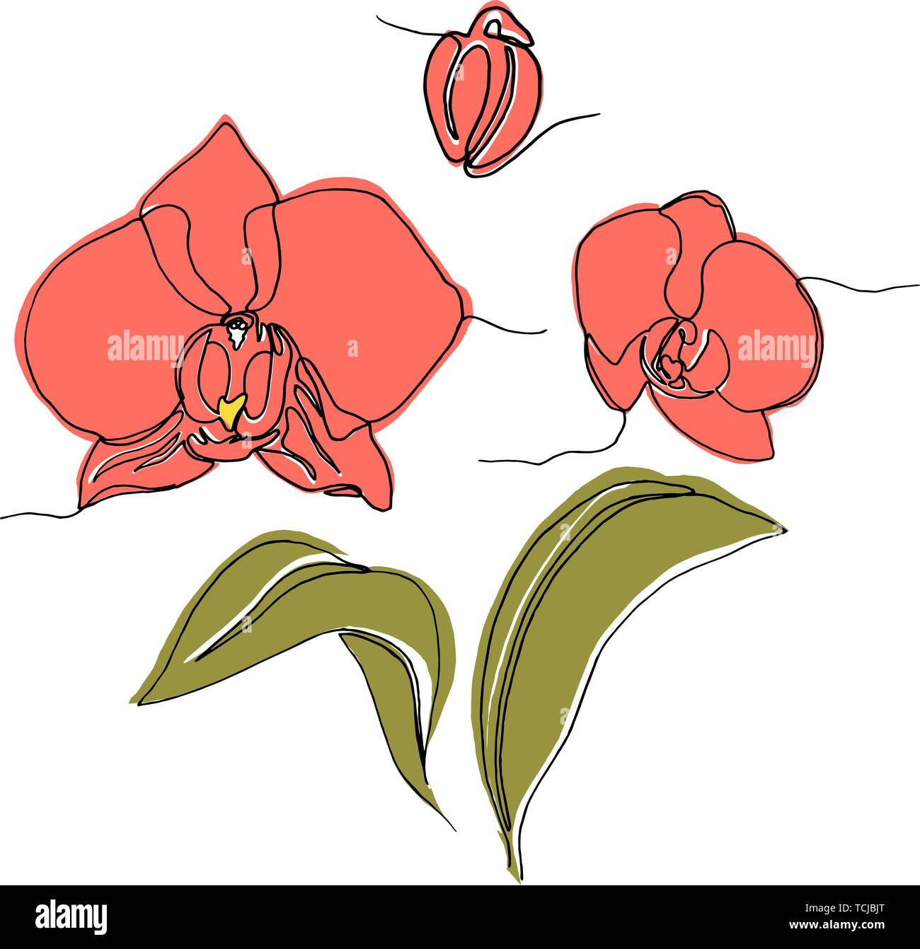 Orchidee Liniensymbol Stock Vektorgrafiken Kaufen Alamy
