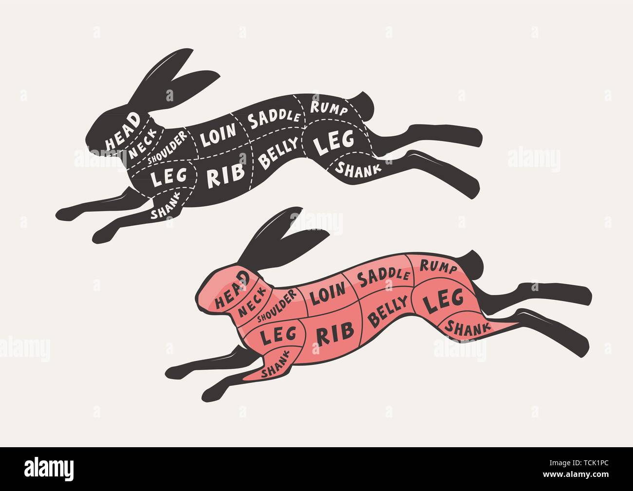 Schneiden von Fleisch, Kaninchen oder Hasen. Plakat Metzger schema und schema, Vector Illustration Stock Vektor