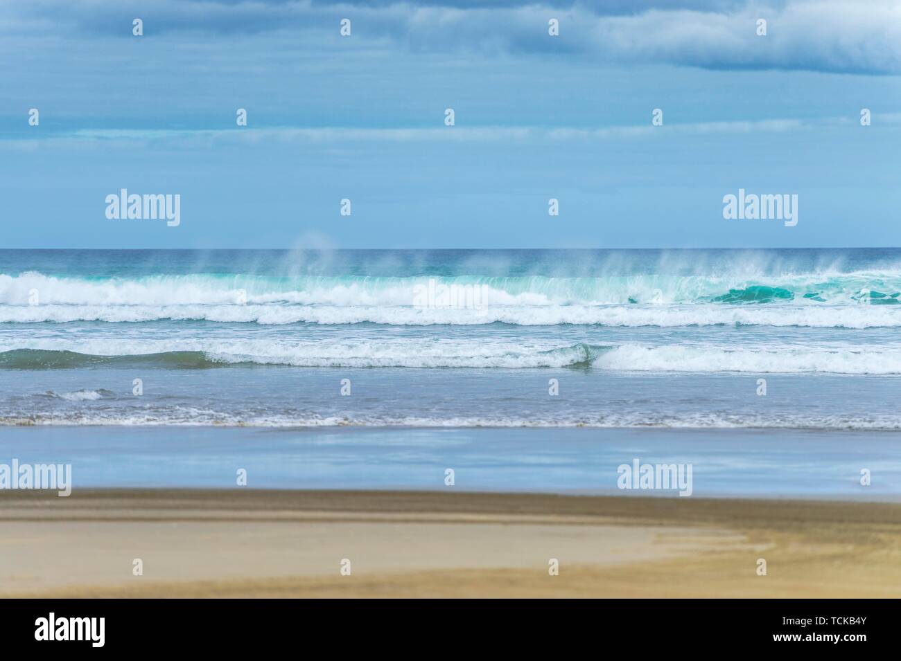 Wellen brechen am Strand, Ninety Mile Beach, North District, Northland, North Island, Neuseeland Stockfoto