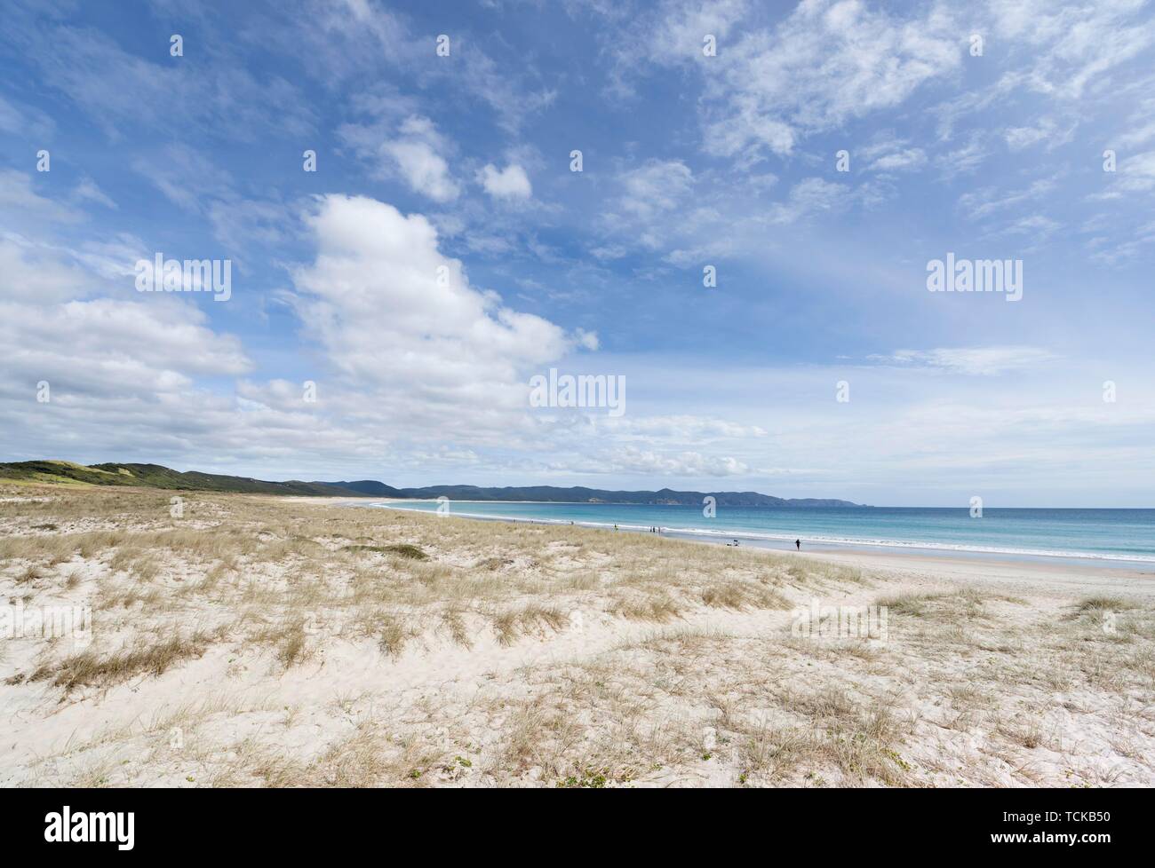 Langer Sandstrand Rarawa Strand, weit im Norden Bezirk, Northland, North Island, Neuseeland Stockfoto