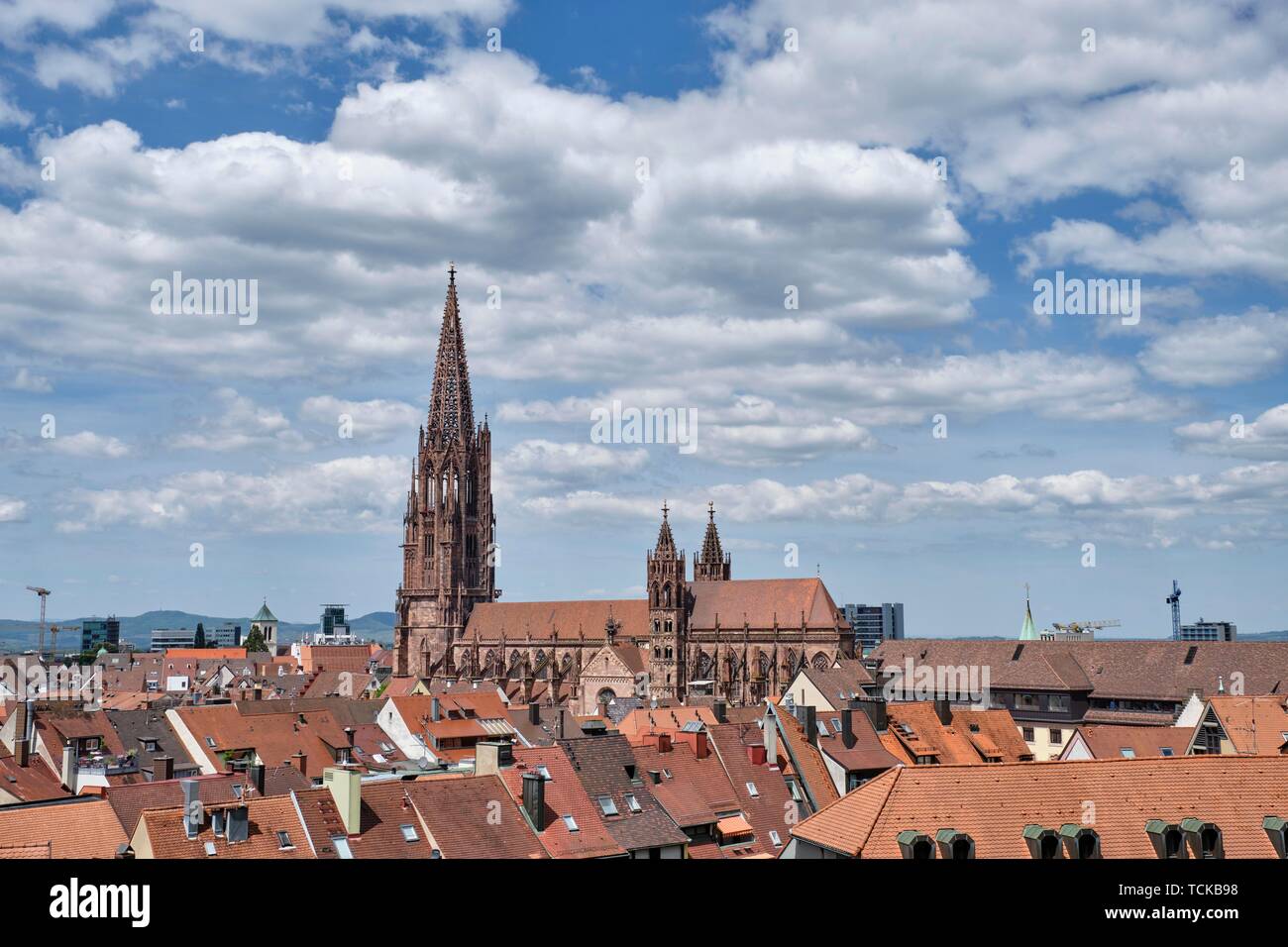 Blick über die Dächer der Altstadt mit der Kathedrale von Freiburg, Freiburg im Breisgau, Baden-Württemberg, Deutschland Stockfoto