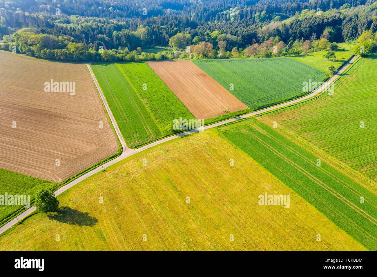 Luftaufnahme, Straße zwischen landwirtschaftlichen Gebieten, Schwäbischer Wald, Baden Württemberg, Deutschland Stockfoto