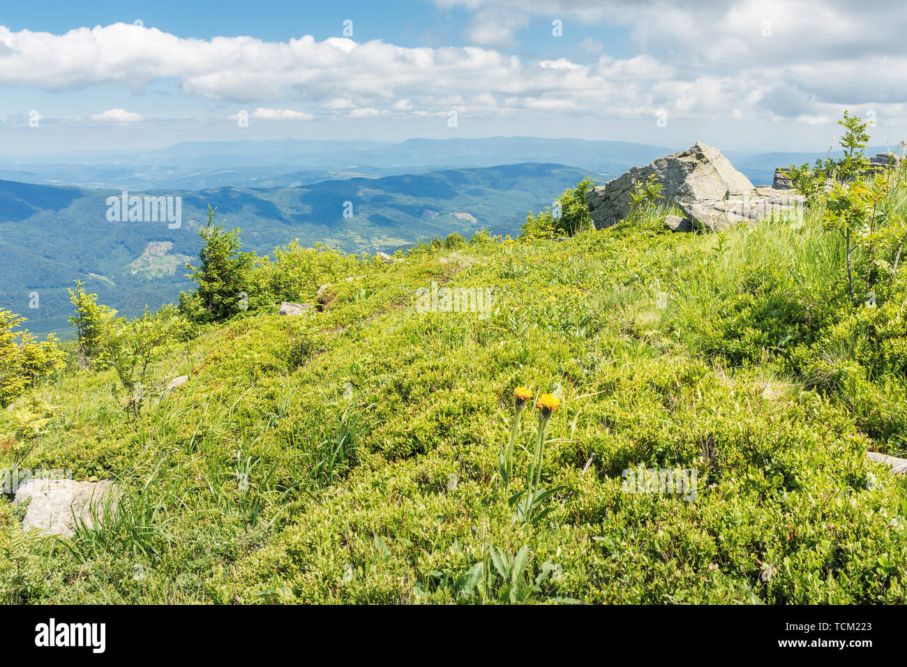 Rock am Rande eines Hügels. sonnige Landschaft in den Bergen. grünes Gras Wiese und blauen Sommerhimmel. idyllische Landschaft der Karpaten Stockfoto