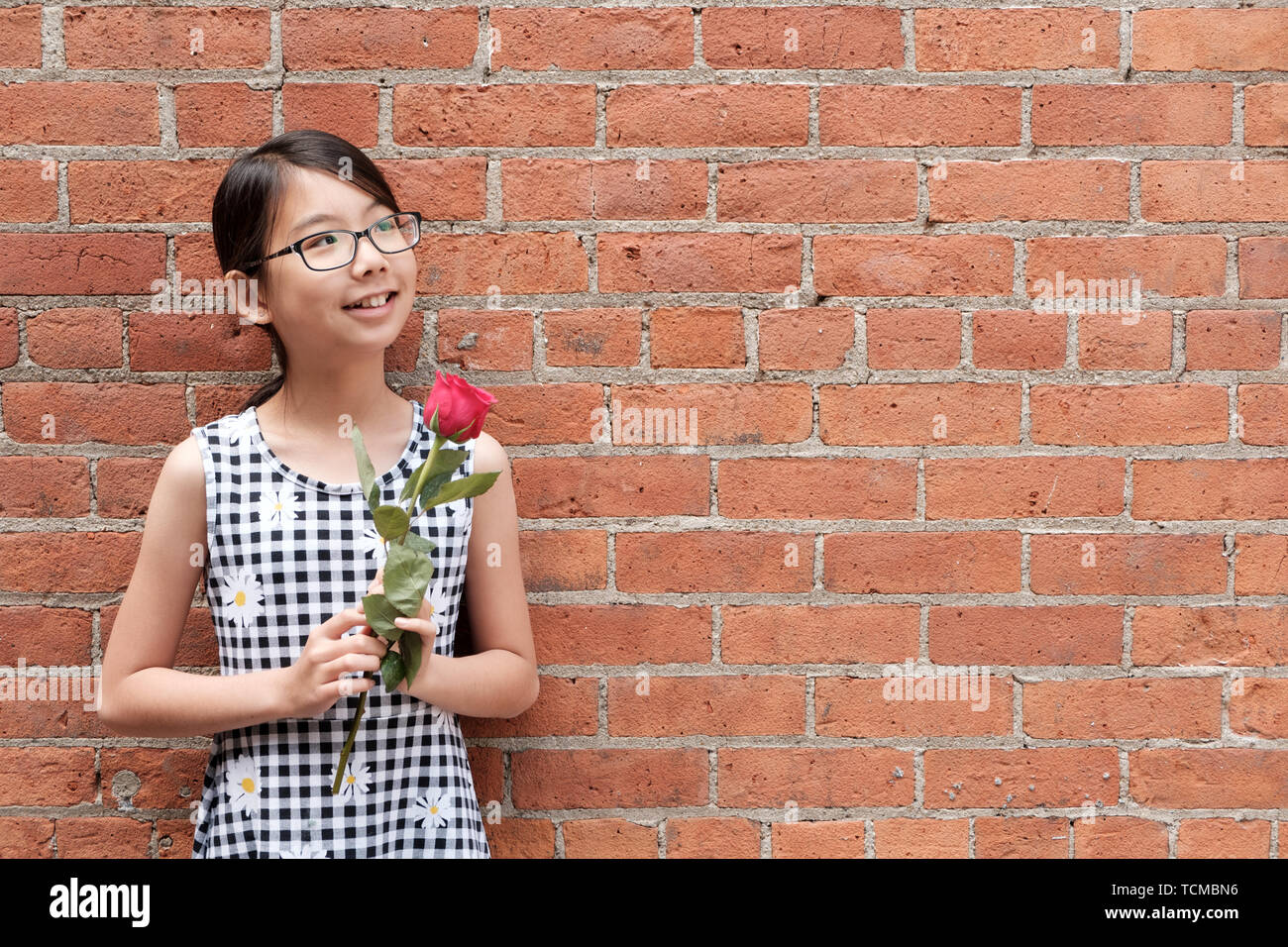Portrait von jungen asiatischen Mädchen mit roten Rose Blume gegen Red brick wall Stockfoto