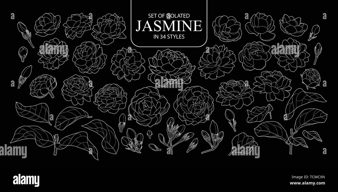 Eingestellt von isolierten Umrisse von Jasmin in 34 Arten. Süße Hand gezeichnet Blume Vector Illustration nur weißer Umriss auf schwarzem Hintergrund. Stock Vektor
