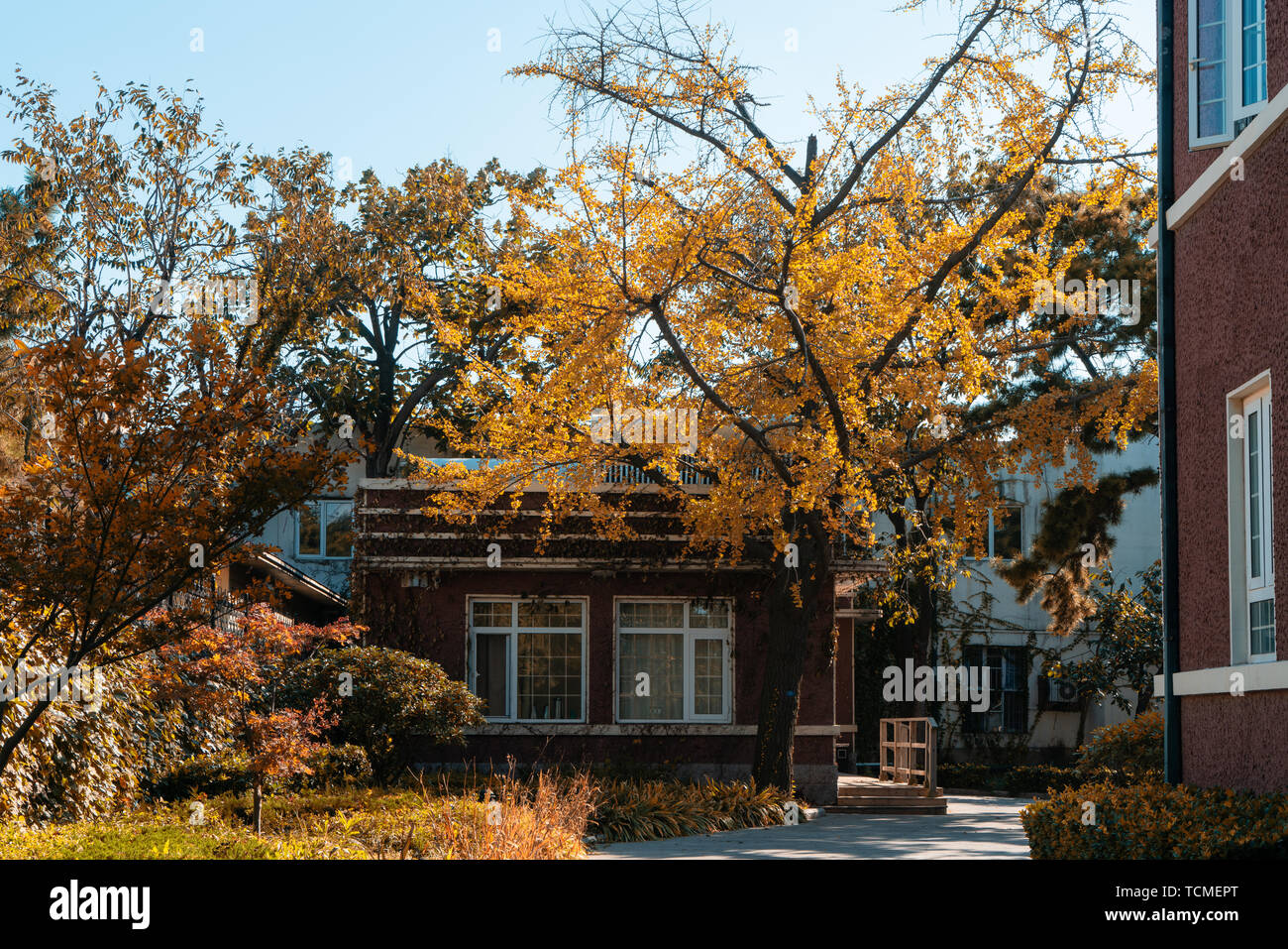 Herbstlandschaft der Ba Daiguan, Qingdao, Provinz Shandong Stockfoto