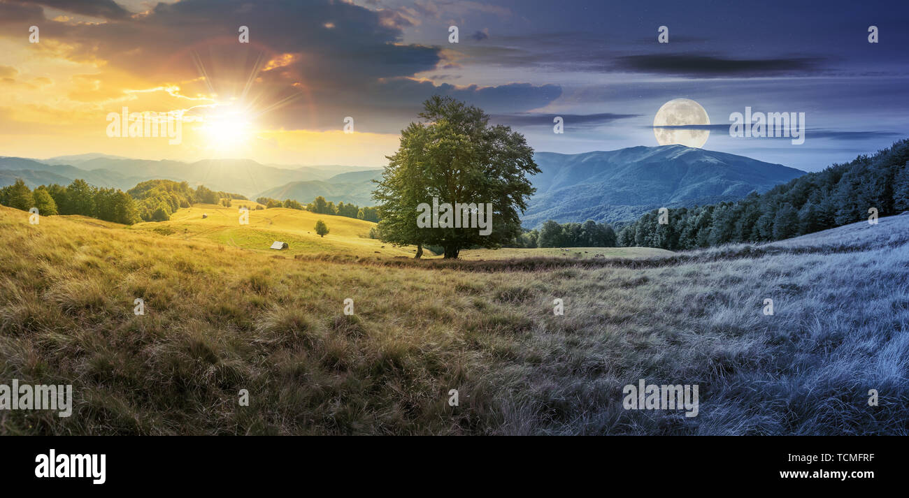 Tag und Nacht Zeit ändern Konzept über die Buche auf der Wiese in den Bergen. Landschaft mit Sonne und Mond. schönen Sommer Landschaft der Karpaten Stockfoto