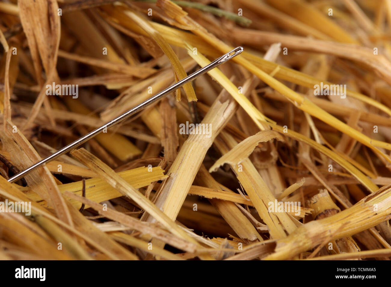 Nadel im Heuhaufen close-up Stockfoto