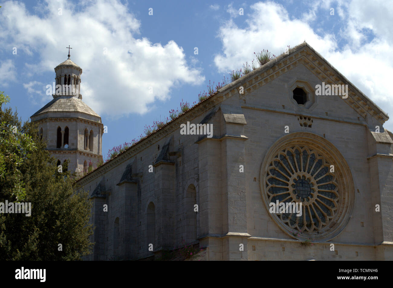 Detail der Rosette und Glockenturm der Abtei Fossanova, Italien, ein schönes Beispiel für Italienische frühgotischen Stil. Stockfoto