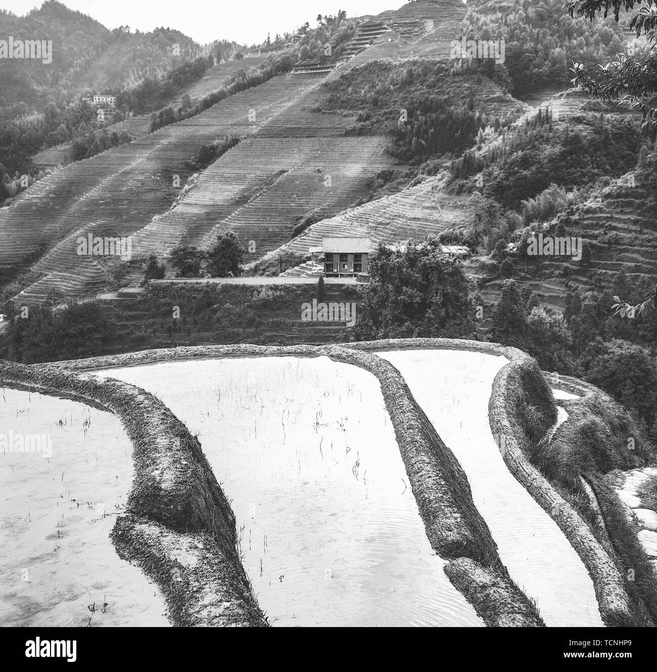 Guilin Landschaft Stockfoto