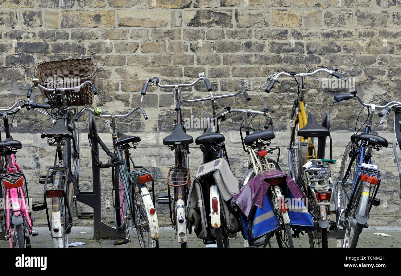 Delft, Zuid Holland/Niederlande - Juni 07, 2009: Fahrräder an einer Seitenwand des Rathaus geparkt Stockfoto