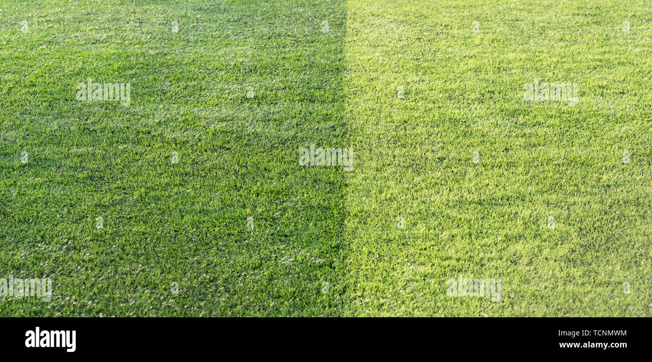 Schöne Nahaufnahme von frische grüne Gras für Fußball sport, Fußballplatz. Stockfoto