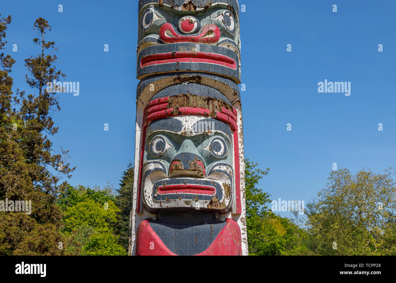 Die ikonischen British Columbia Kronkolonie Totem Pole im Tal Gärten in Virginia Water, Windsor Great Park in Surrey/Berkshire, Großbritannien Stockfoto