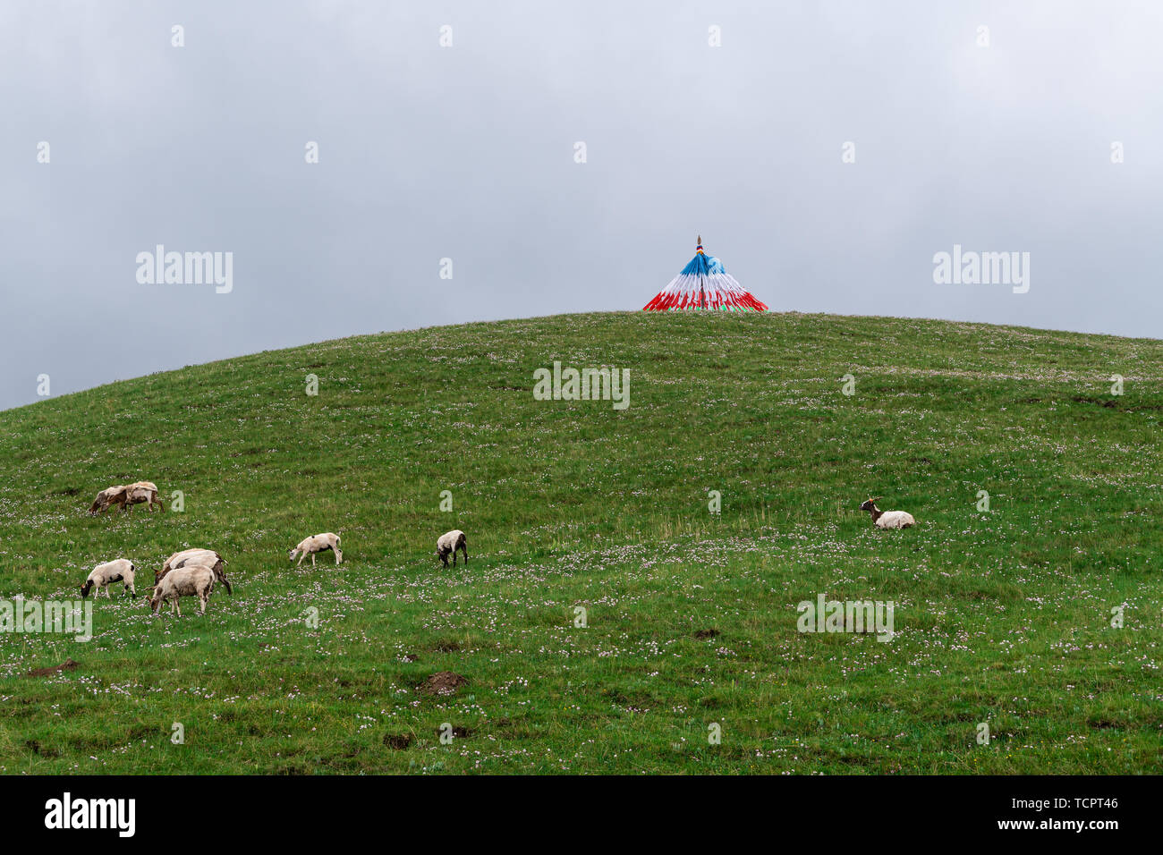 Ein schwaches Gedächtnis des Plateaus. Stockfoto