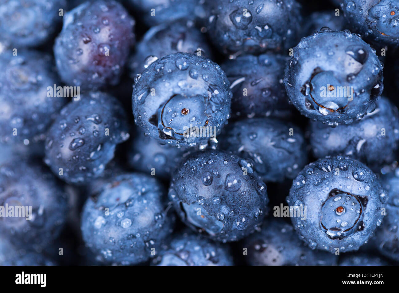 Blueberry Bild Stockfoto