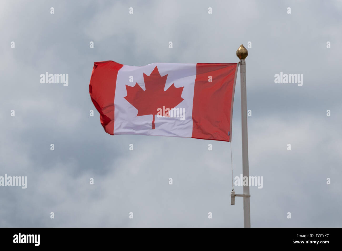 Eine kanadische Flagge an einem Mast Stockfoto