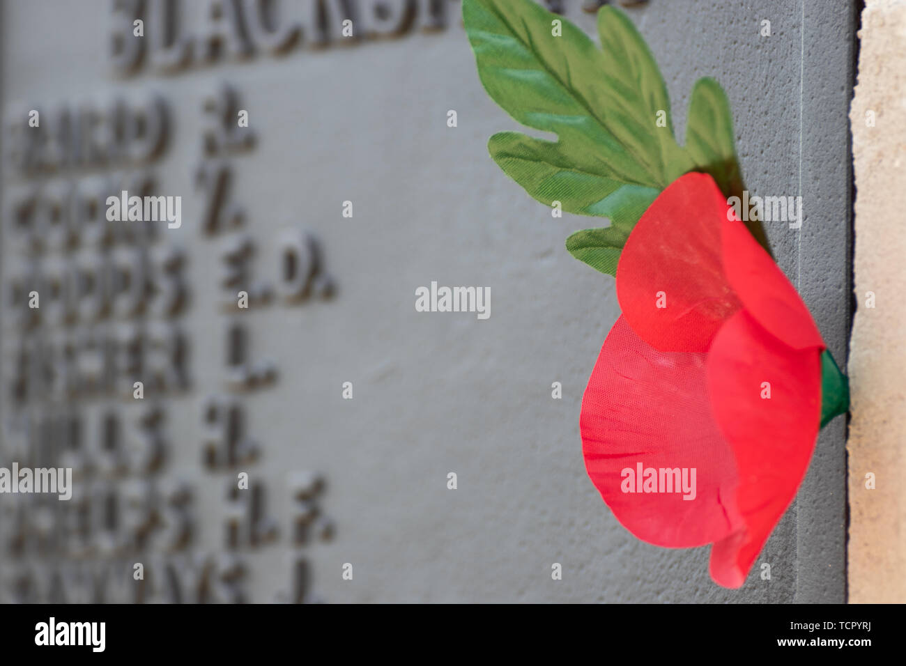 Ein einzelner roter Mohn neben den Namen der tot auf einem Kriegerdenkmal Stockfoto