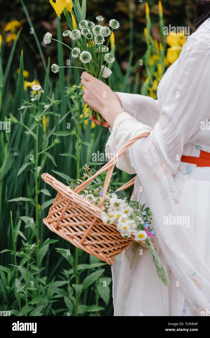 Frühling, die Mädchen sind picking Wild flowers in freier Wildbahn in der chinesischen Kleidung. Stockfoto