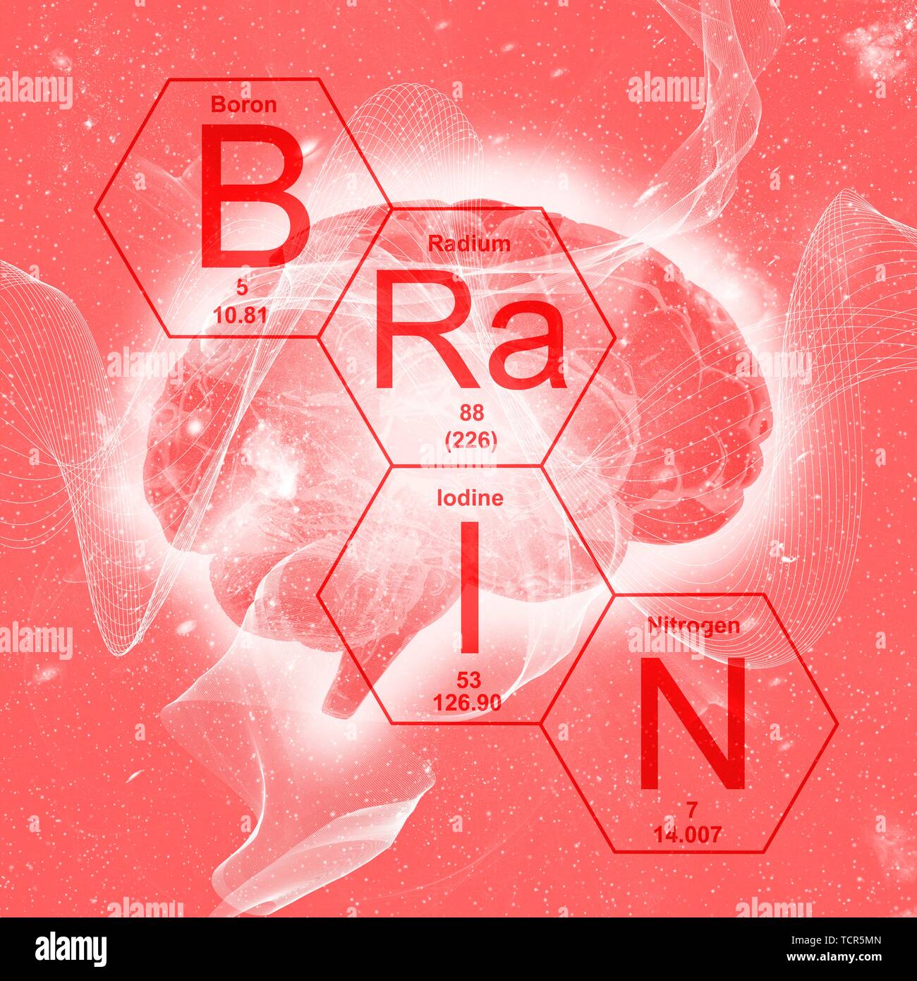 Chemische Elemente und Gehirn, Abbildung Stockfoto