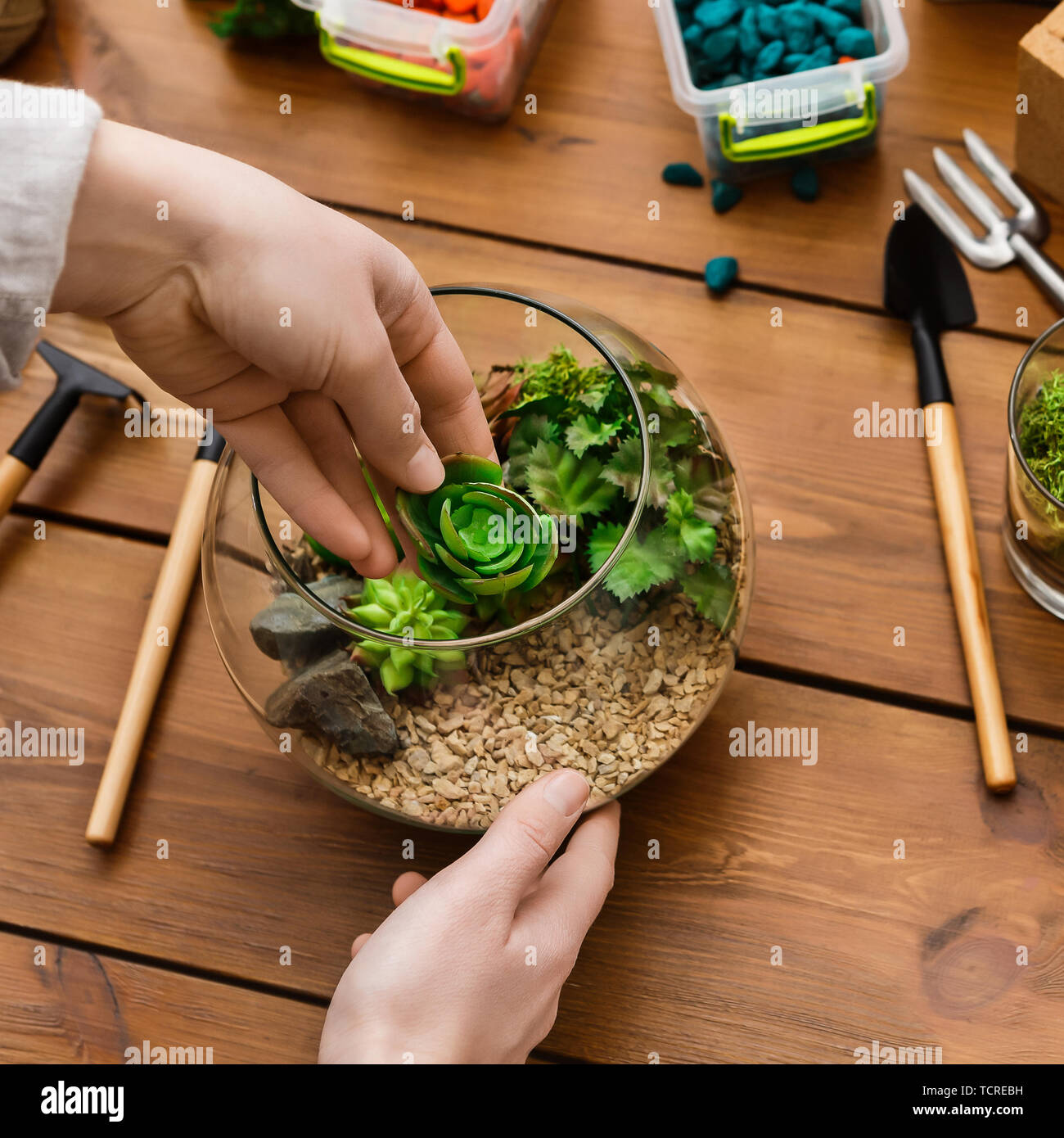 Home Gartenbau master class Konzept Stockfoto