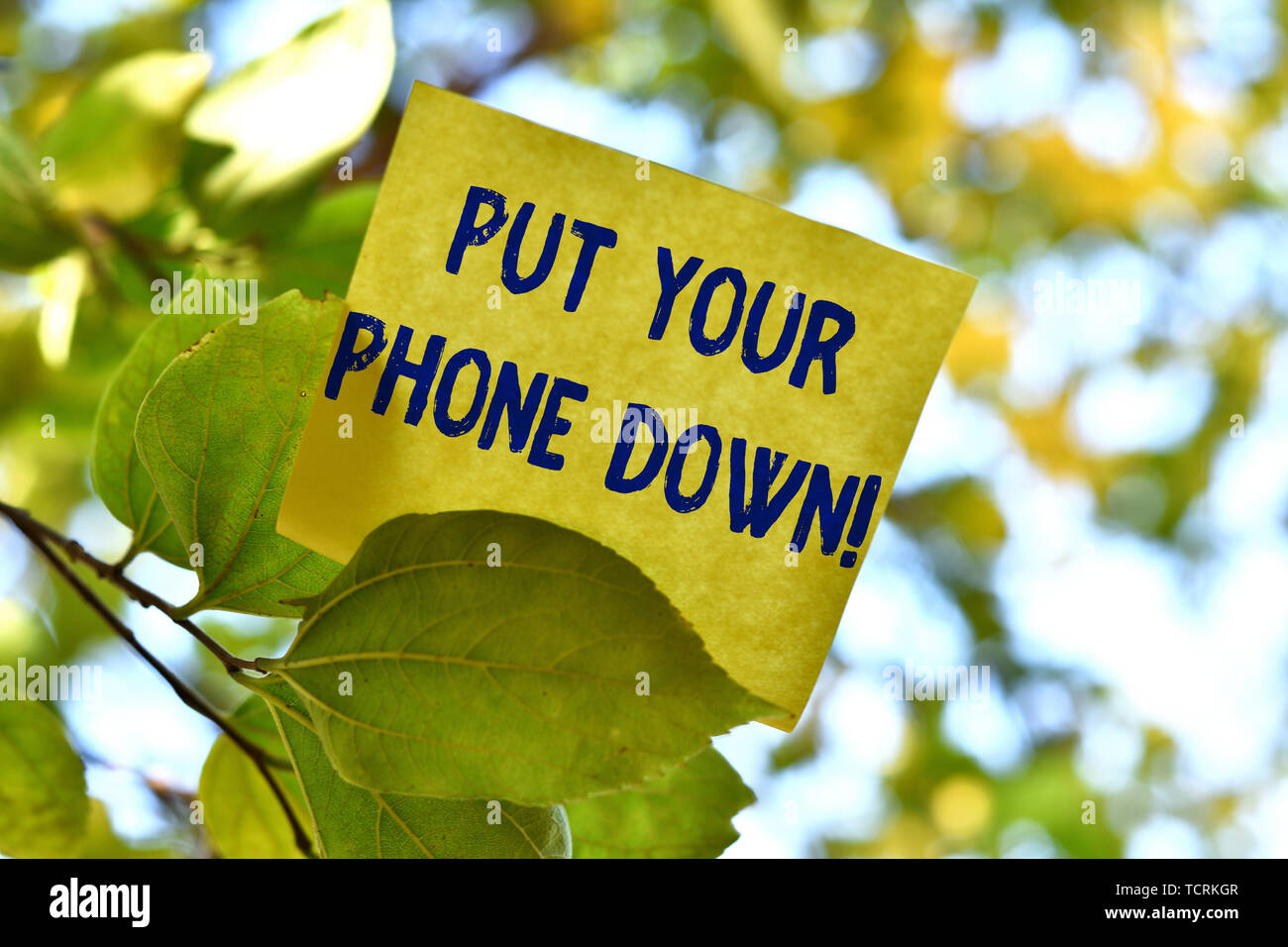 Wort Schreiben Von Text Auf Ihrem Telefon Business Foto Prasentation Ende Telefonanschluss Abschied Anrufer Stuck Square Papier Verwenden Anmerkung Zu Geben Stockfotografie Alamy