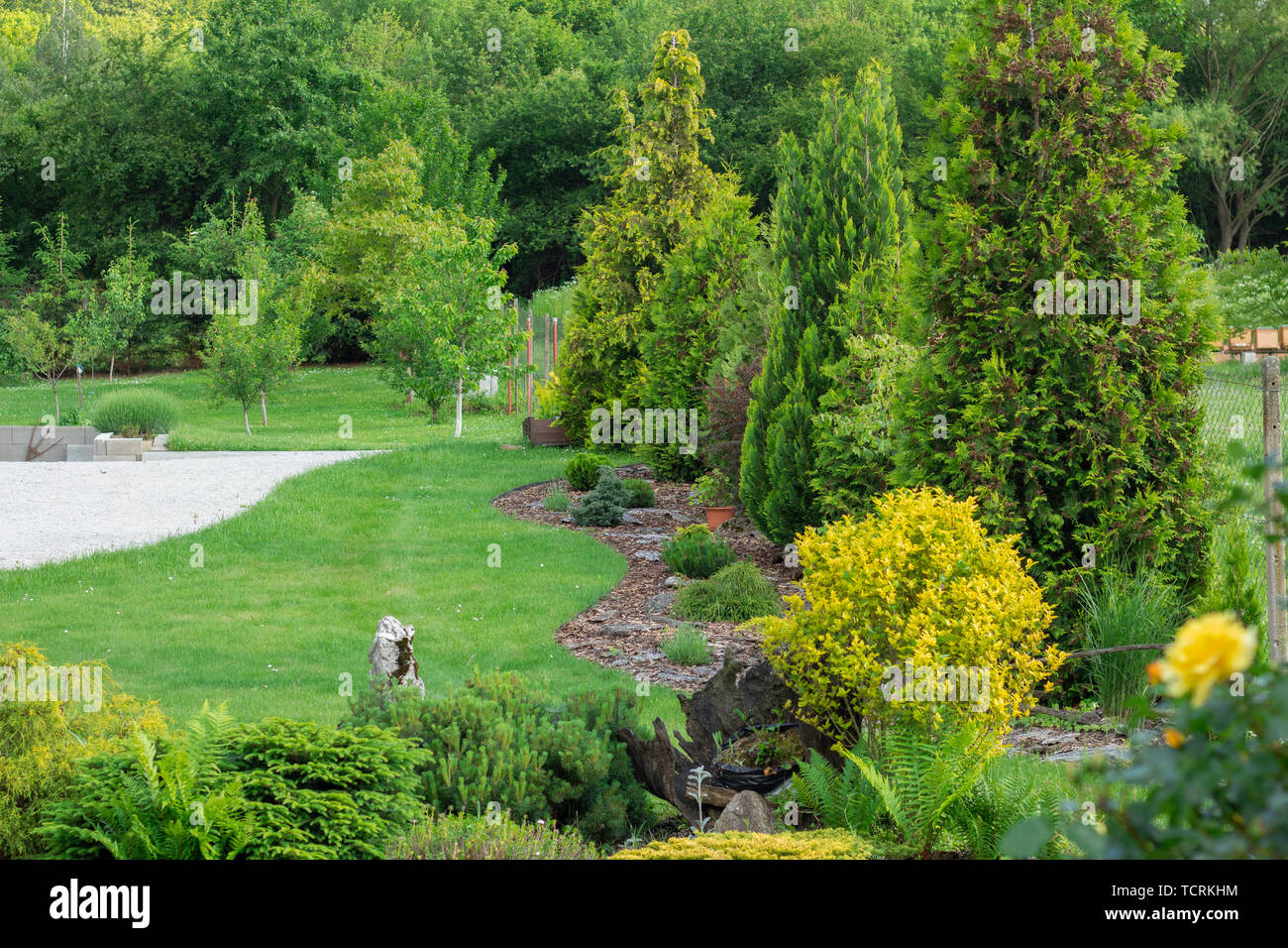Home Garten Mit Dekorativen Pflanzen Und Baume Der