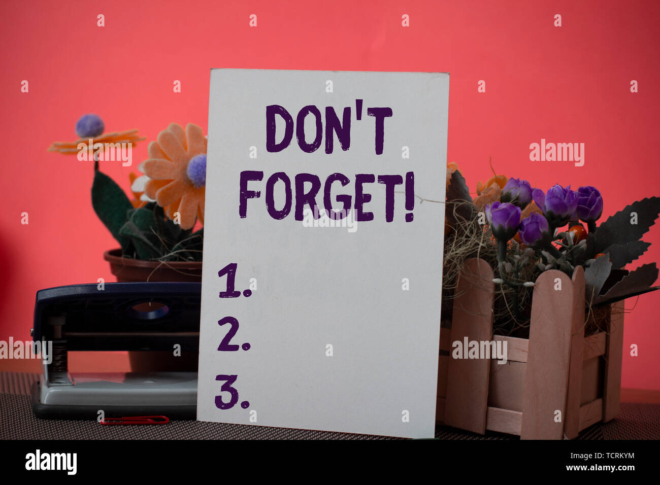 Text Zeichen zeigen, nicht vergessen. Business foto Präsentation erinnern, einer wichtigen Tatsache oder Detail sie Blumen betrachten sollten, und schreiben Ausrüstungen Stockfoto