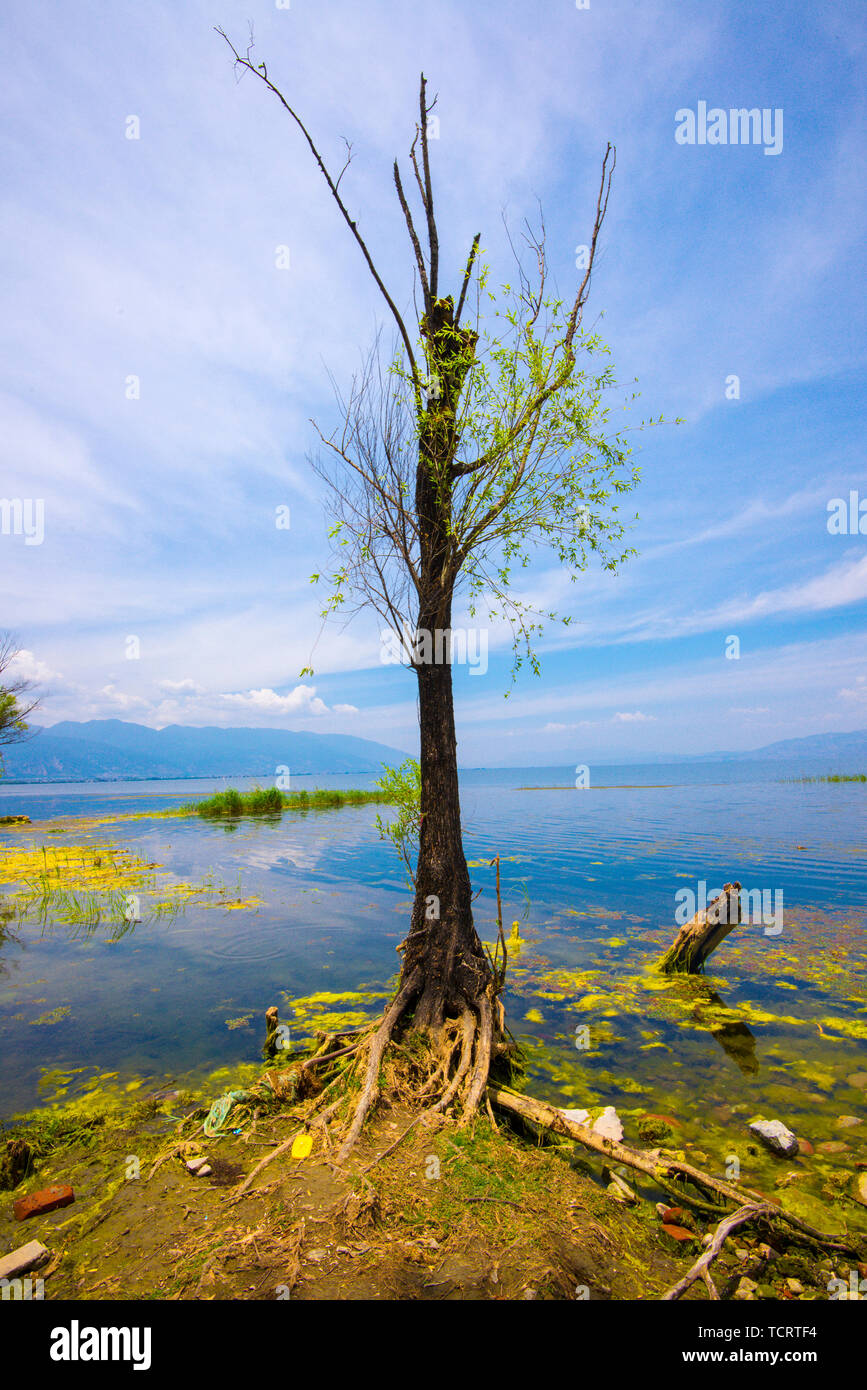 Die Landschaft von Pounder, Dali, Yunnan Stockfoto