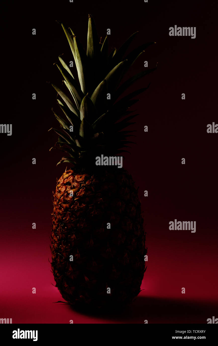 Ananas auf rosa Hintergrund in dunklen Art und Weise Stockfoto