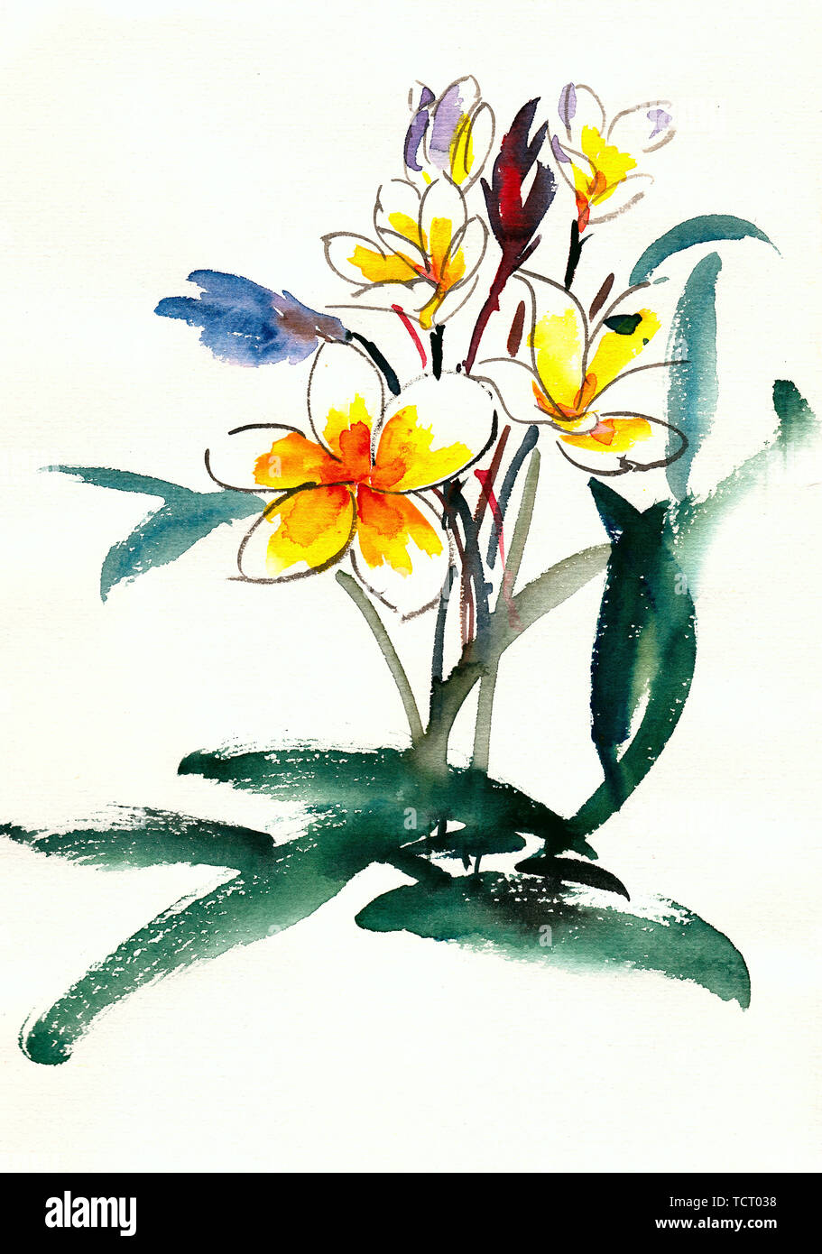 Blumen natürlich schön schön weiß blühenden Tinte Tinte Farbe handgemalten chinesischen Malerei material Schöne Stockfoto