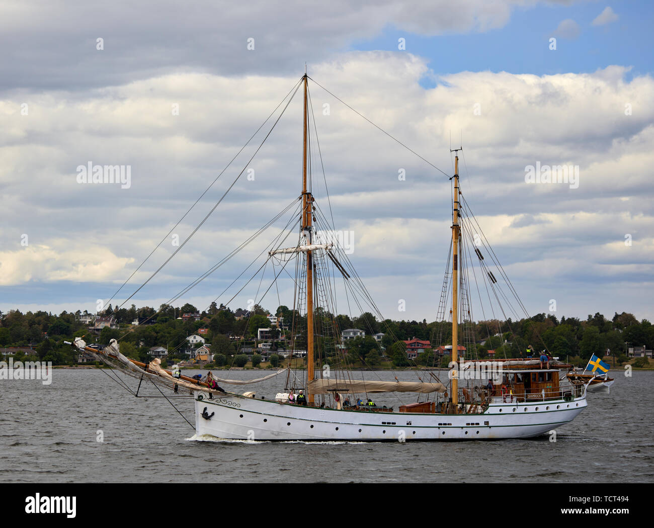 Shamrock Segeln Segeln auf dem Meer in Richtung Stockholm Stockfoto