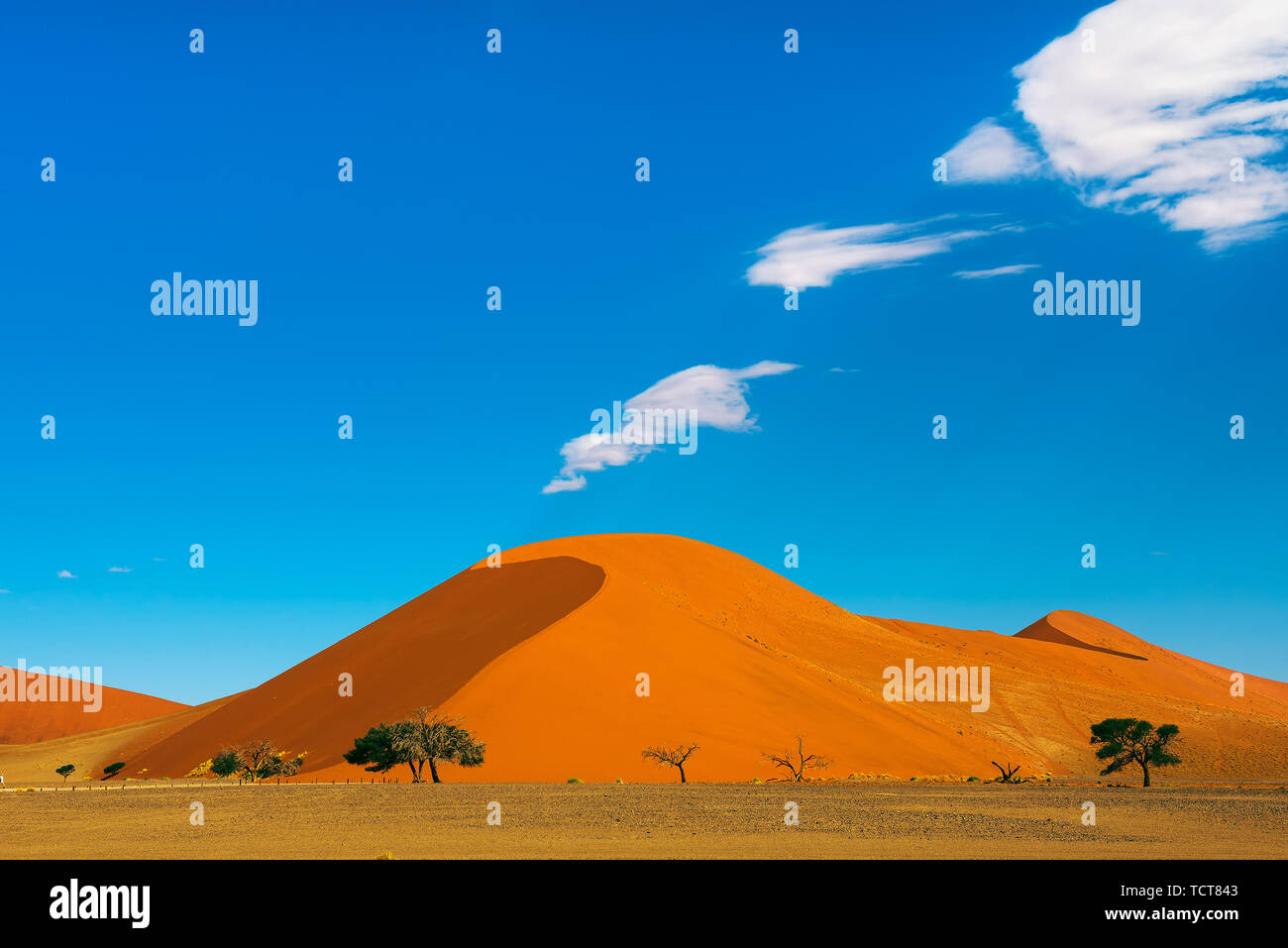 Die Düne 40 im Sossusvlei, Namib Naukluft National Park, Namibia Stockfoto