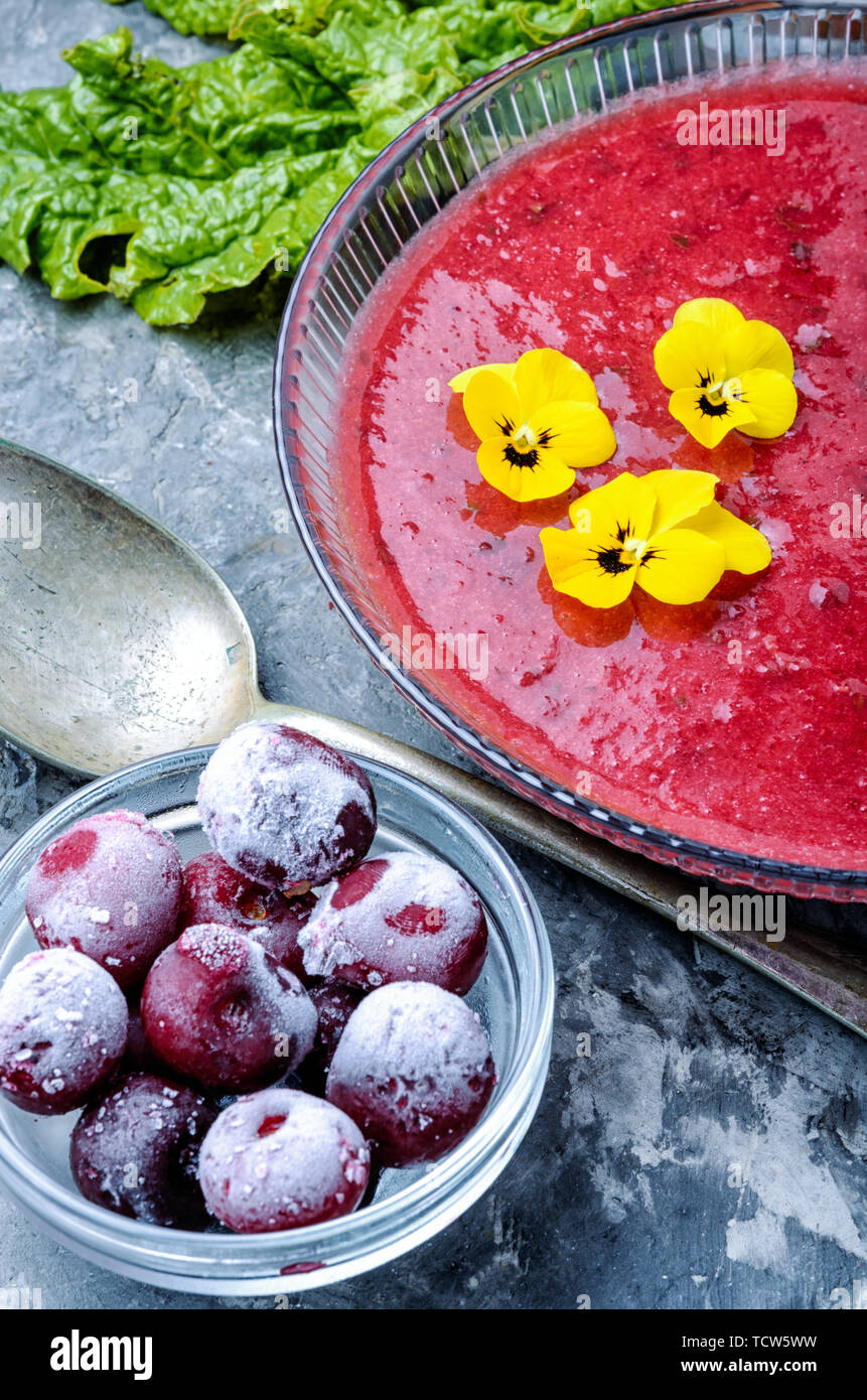 Sommer kühl Suppe mit Cherry und Rhabarber. Obst Suppe. Im Sommer essen. Stockfoto
